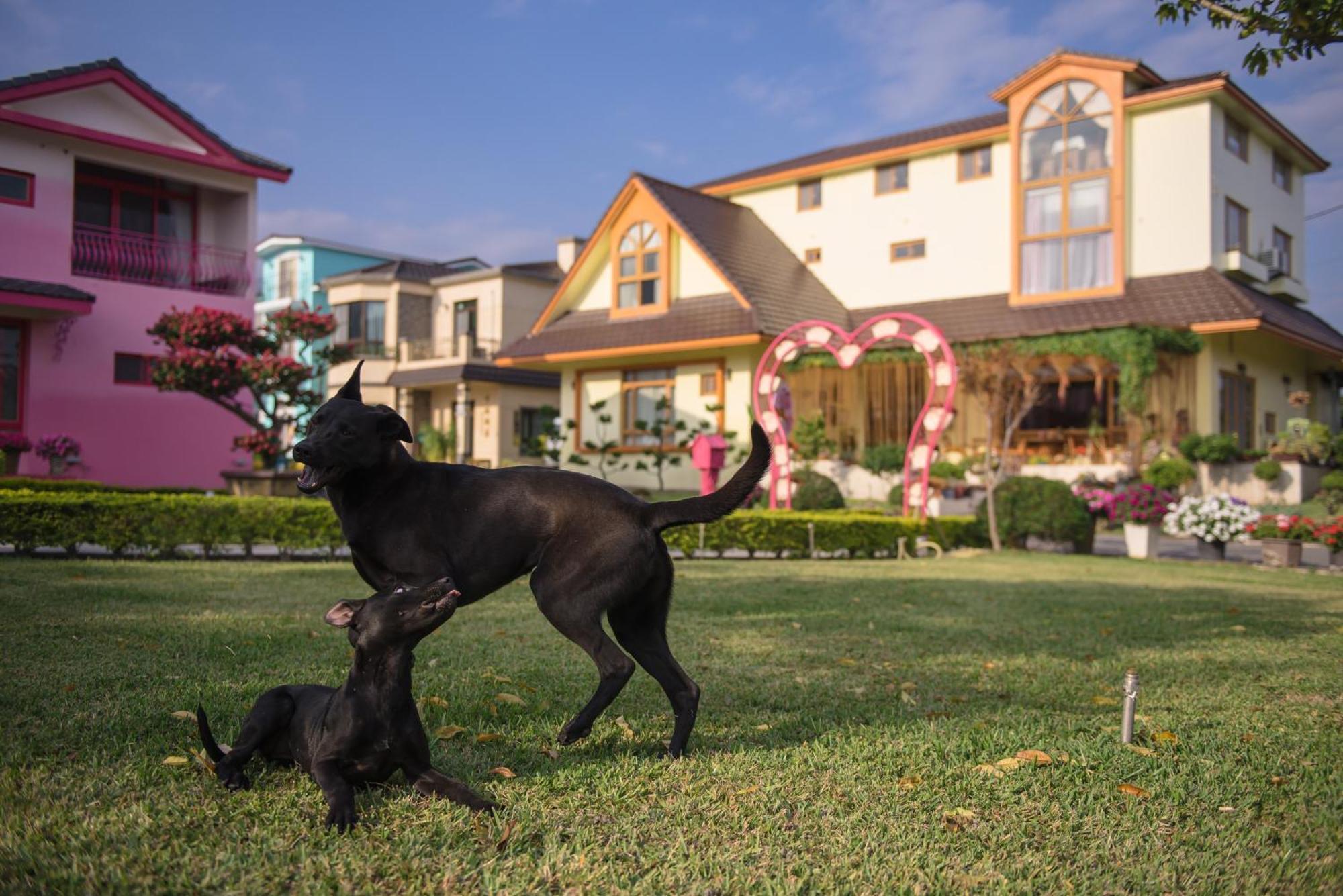 Xinfu Traveler Inn Taiping  Εξωτερικό φωτογραφία