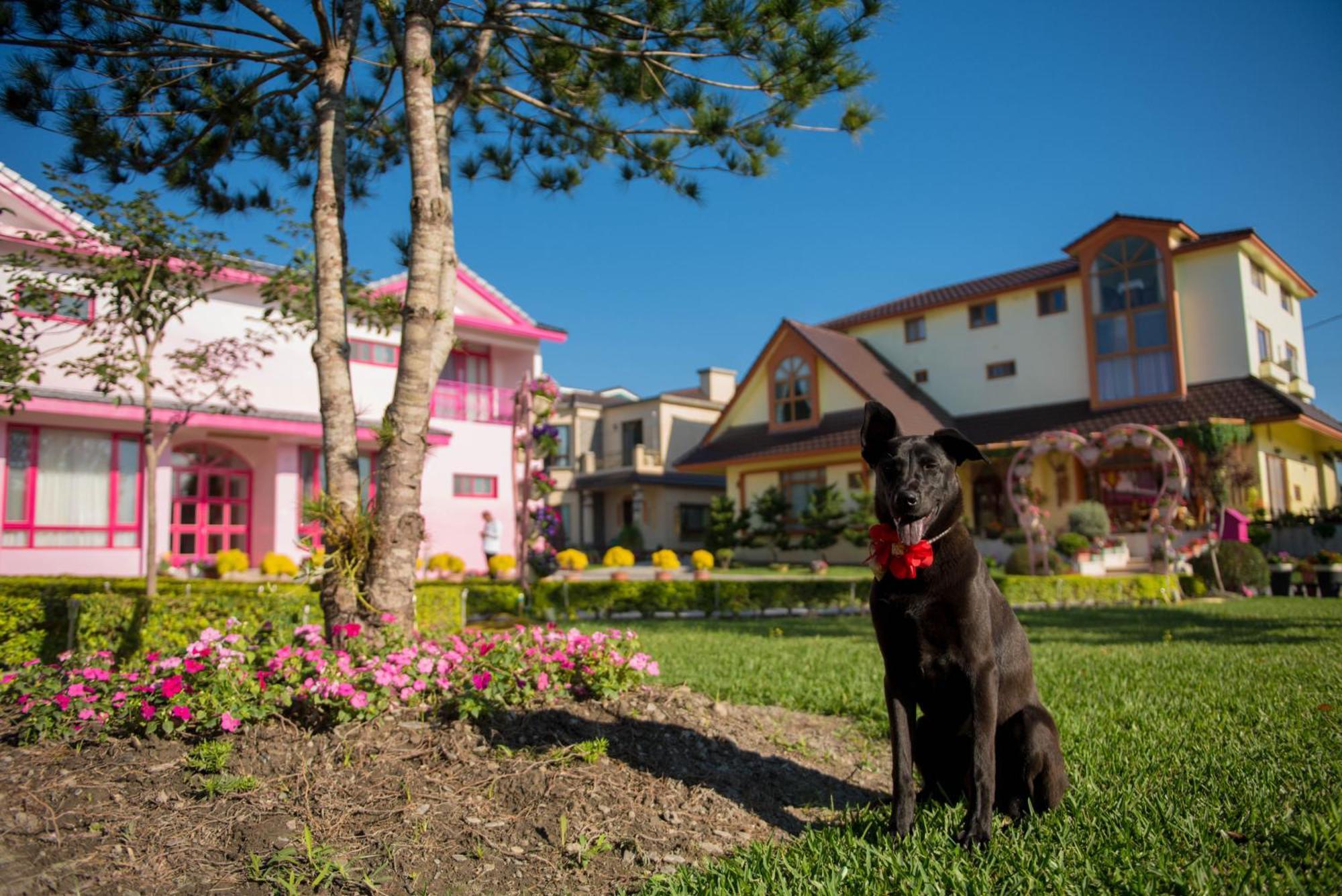 Xinfu Traveler Inn Taiping  Εξωτερικό φωτογραφία